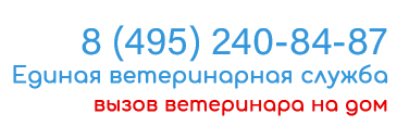 Ветеринарная клиника
